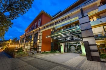 Hotel Divinus