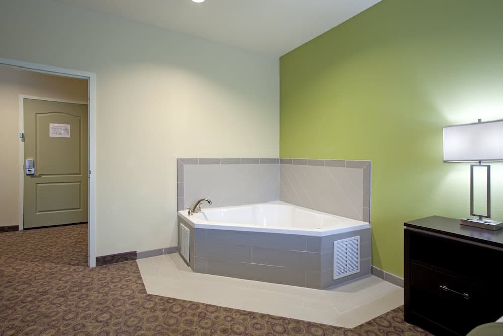 Holiday Inn Express & Suites Clemson by IHG