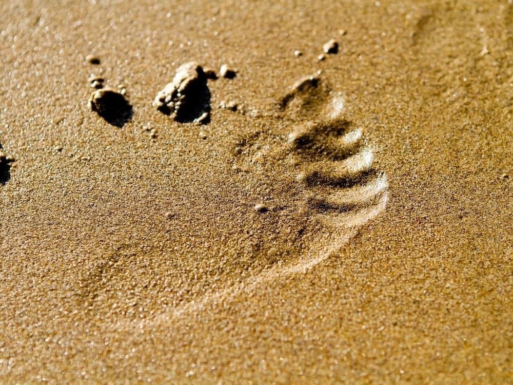 Sea Breeze Apartment Near the Eden Project