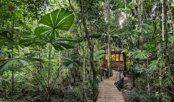 Daintree Wilderness Lodge