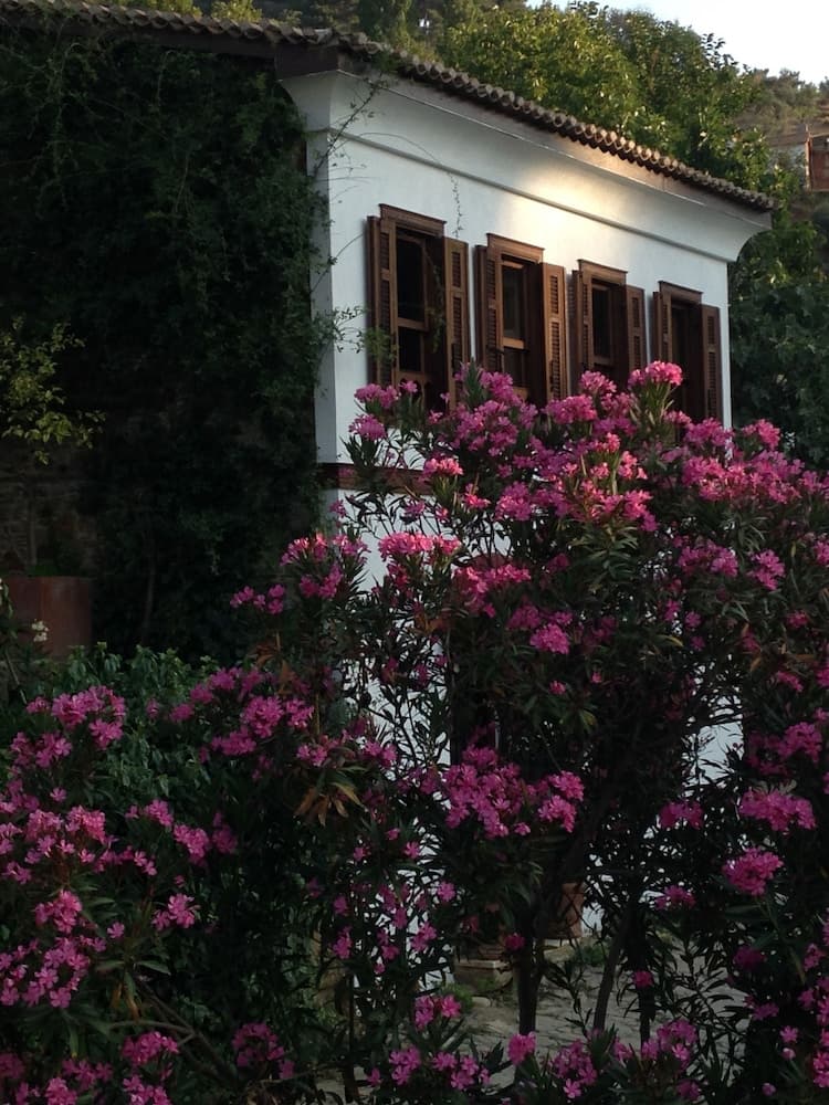 Terrace Houses Sirince - Fig, Olive Clockmakers and Grapevine