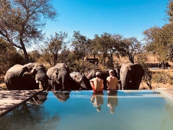 Honeyguide Tented Safari Camps - Montobeni