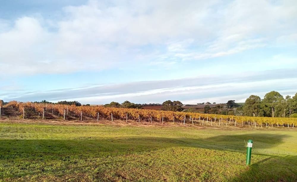 Zevenwacht Wine Estate