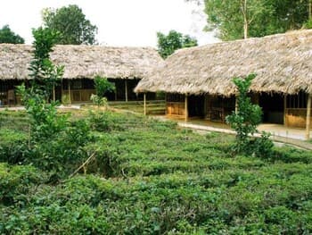 Family Homestay Ba Vi - Hostel