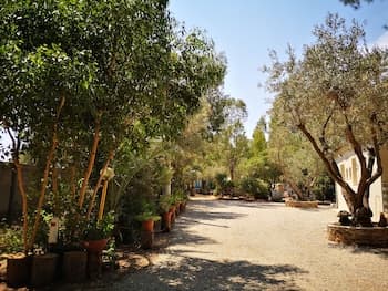 Camping Fico d'India