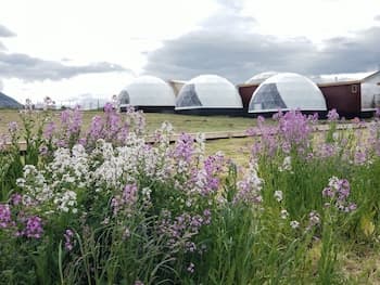 Garden Domes