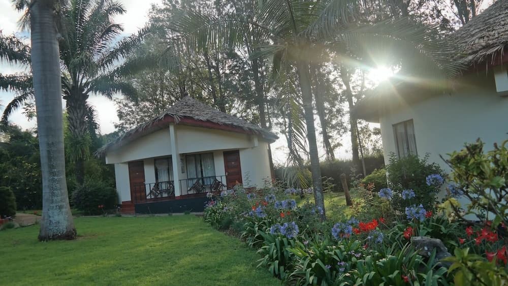 Kilemakyaro Mountain Lodge