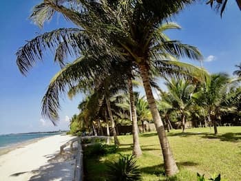 Oceanic Bay Hotel & Resort