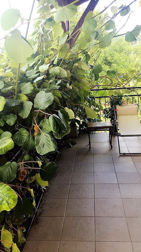 Bienvenue chez Weiwei