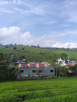 Homestay Lang Che 69