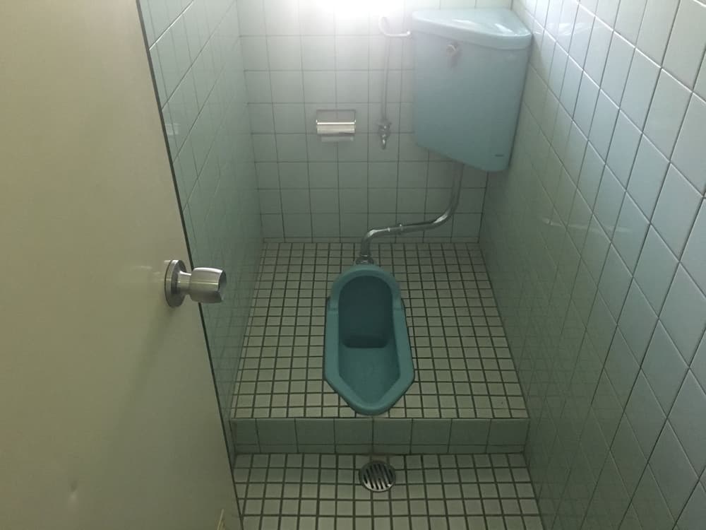 Iriomotejima sawayakasou