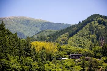 Washi Studio KAMIKOYA