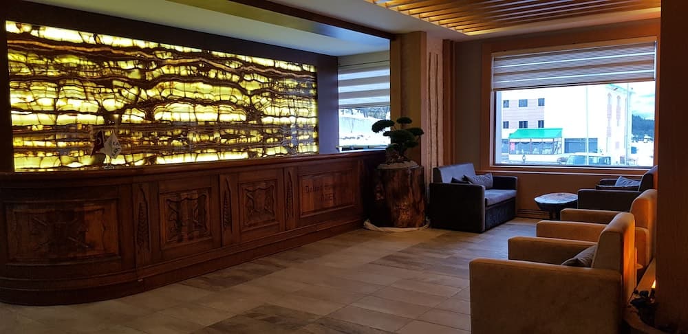 Sarikamis Kayi Snow Otel