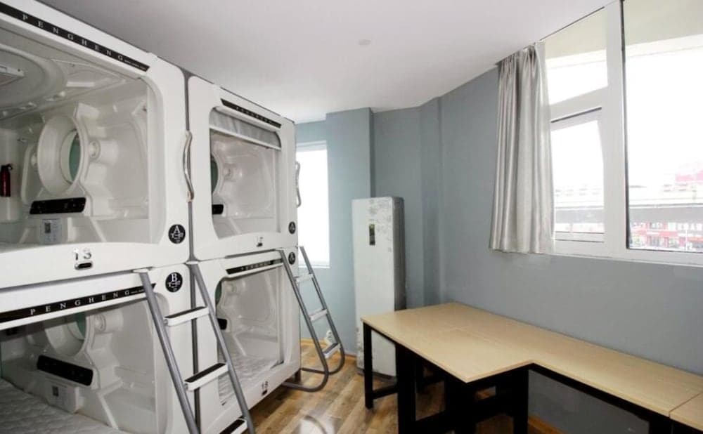 Meet Fish International Youth Hostel