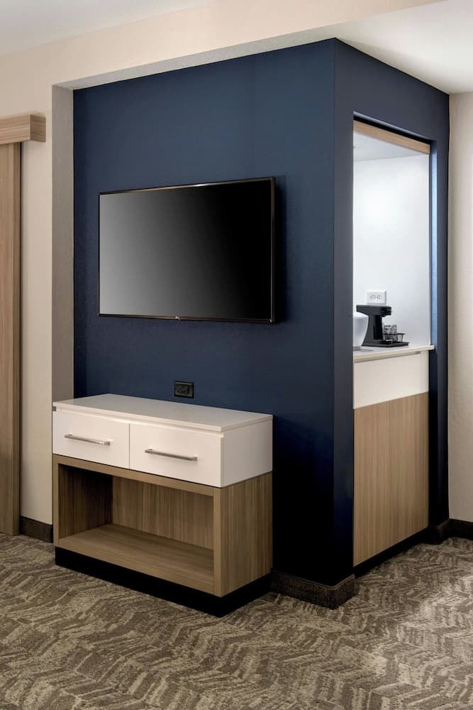 SpringHill Suites by Marriott Tampa Suncoast Parkway