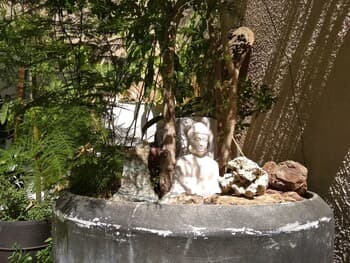 Satori House - Hostel