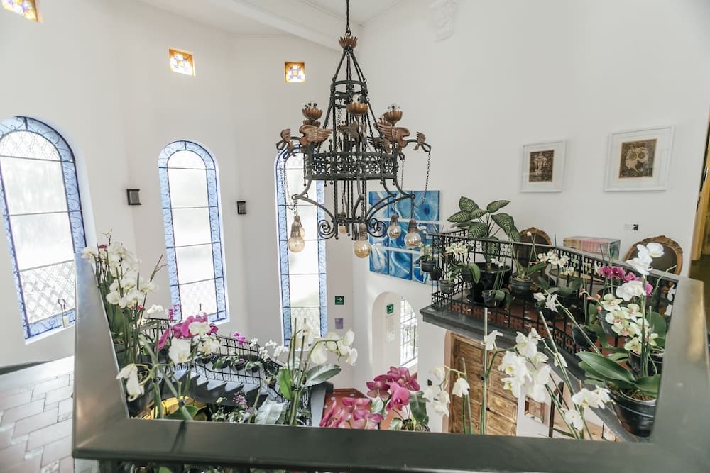 Orchid House Mexico City