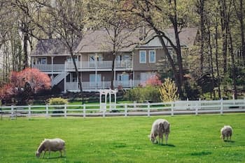 The Speckled Hen Inn B&B