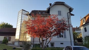 Casa Carmela Apartment