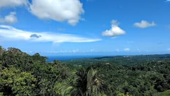 The Lion House Jamaica