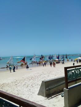 Casa corazón de galinha