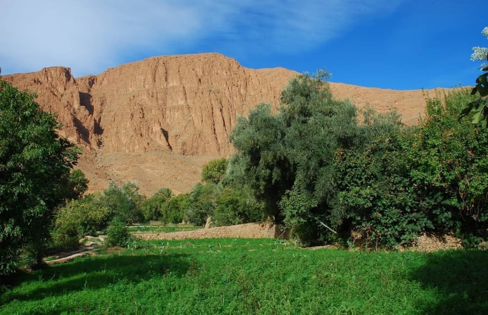 Hotel les roches Todra