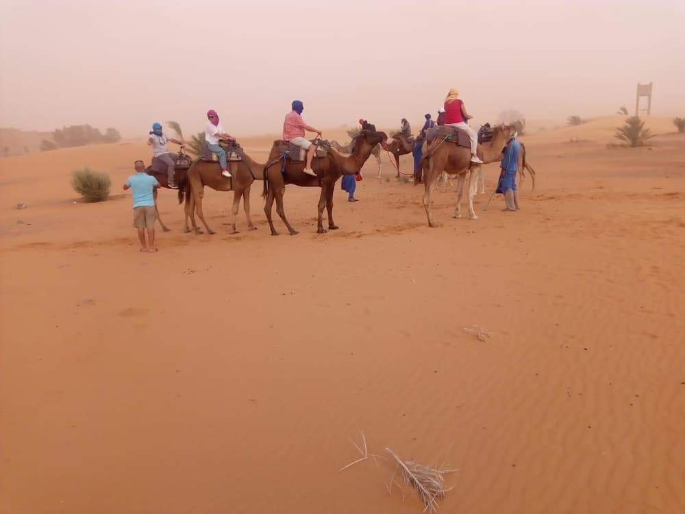 Auberge La Rose De Sable
