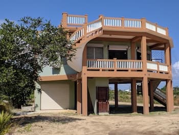 Savannah Sand Dollar