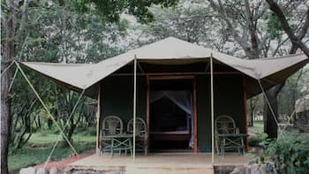 Mara Springs Safari Camp