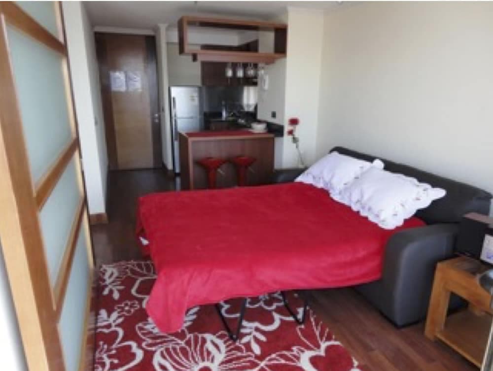 Departamento en Providencia - Barros Borgoño