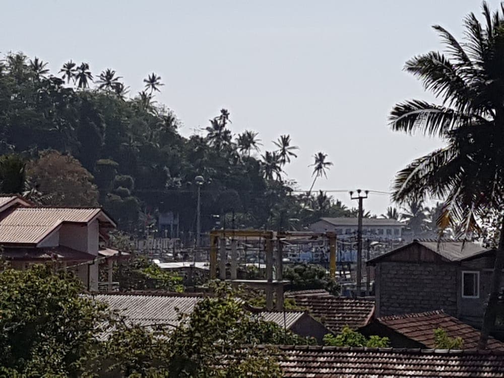 My Whales Guest House