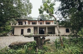 The Camphor Tree-Pura Stays