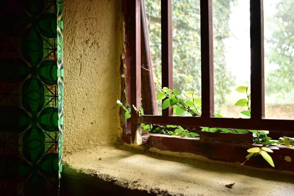 Red Rocks Campsite & Guesthouse