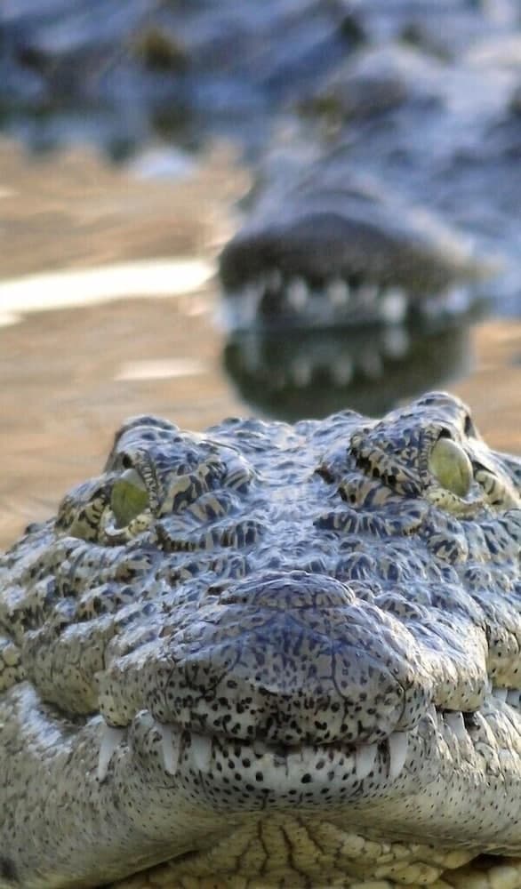 Umndini Safari Resort & Venue