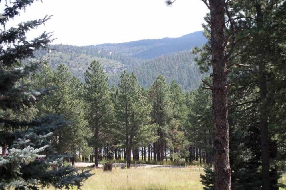 Outdoor Fire Pit, Wildlife Watching, Monte Verde Lake Ponderosa