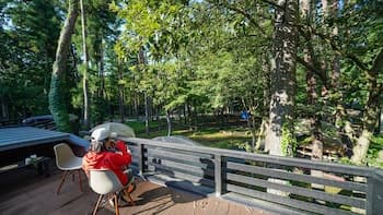 Shimizu Kuniaki’s Paradise of Forest and Lake