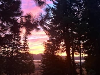 Mountain Pine Cabin - Sleeps 6 - Pet Friendly