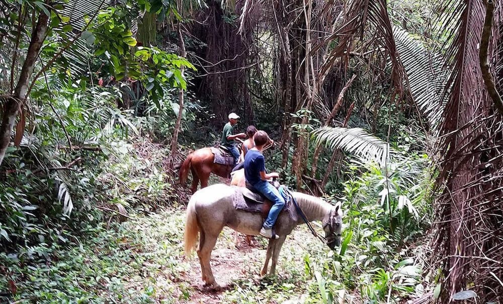 Belize Botanic Gardens' Cottages and Jungle Guest House