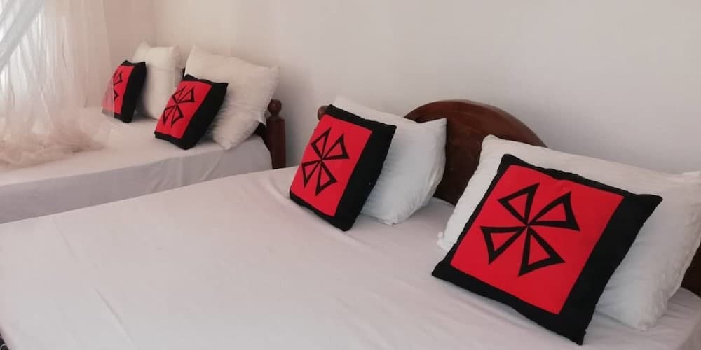 Ella Forest Eco View