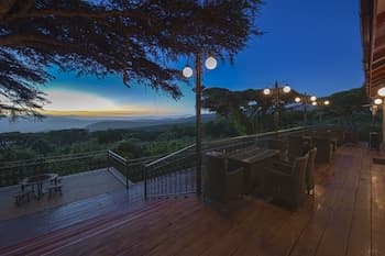 Ngorongoro Lions Paw