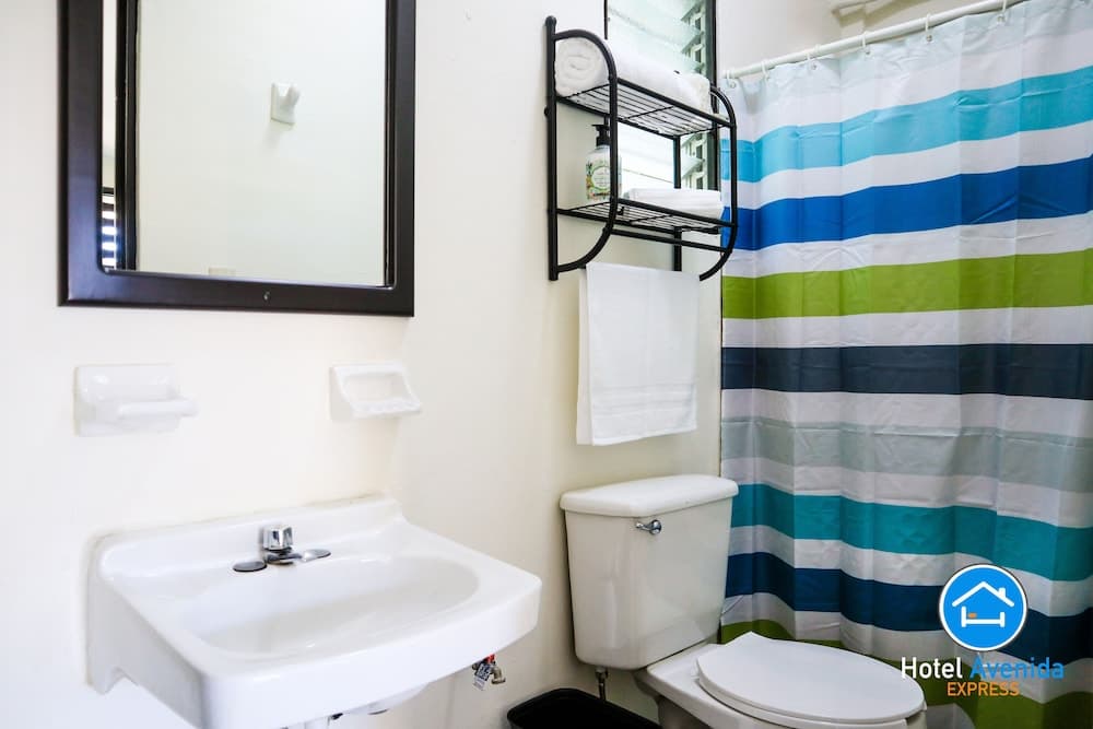Hotel Avenida Express