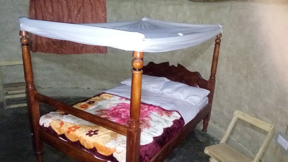 Grassroots Cottages & Tours