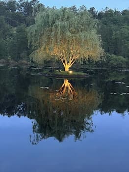 Swan Lake Resort Rentals