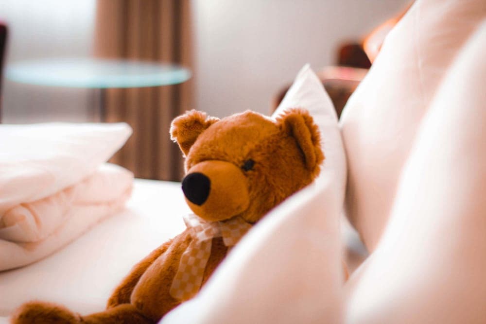 Landhotel & Weingasthof Schwarzer Adler