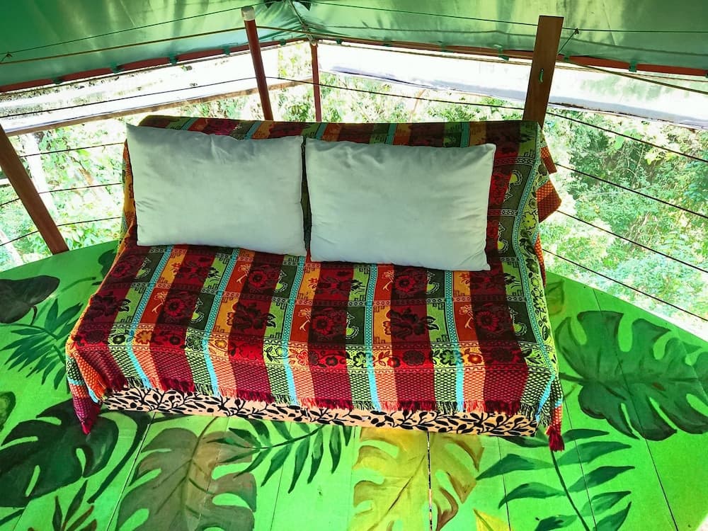 Nature Observatorio Amazing Treehouse