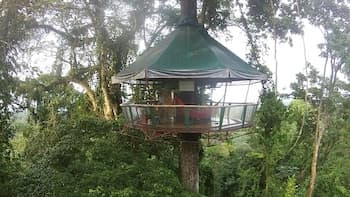 Nature Observatorio Amazing Treehouse