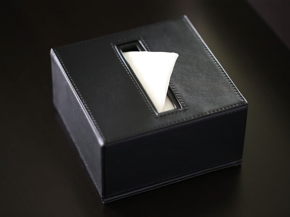 APA Hotel PRIDE Akasaka Kokkaigijidomae