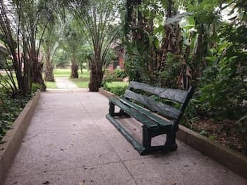 Big Foot Safari Lodge