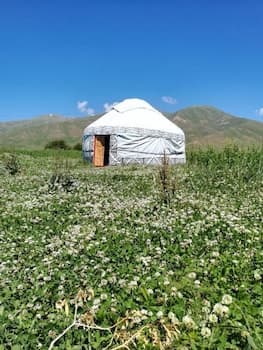 Suusamyr Valley - Campsite