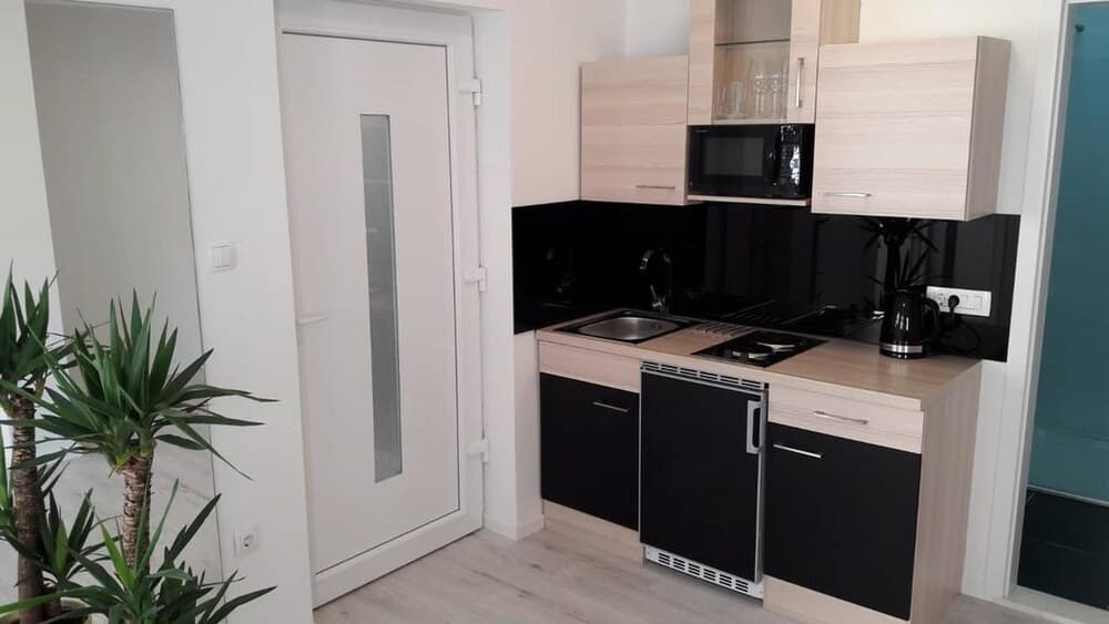 Downtown Park Suites